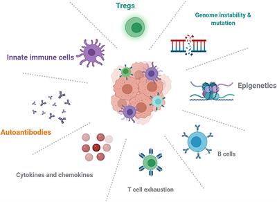 Rheumatic Manifestations and Diseases From Immune Checkpoint Inhibitors in Cancer Immunotherapy